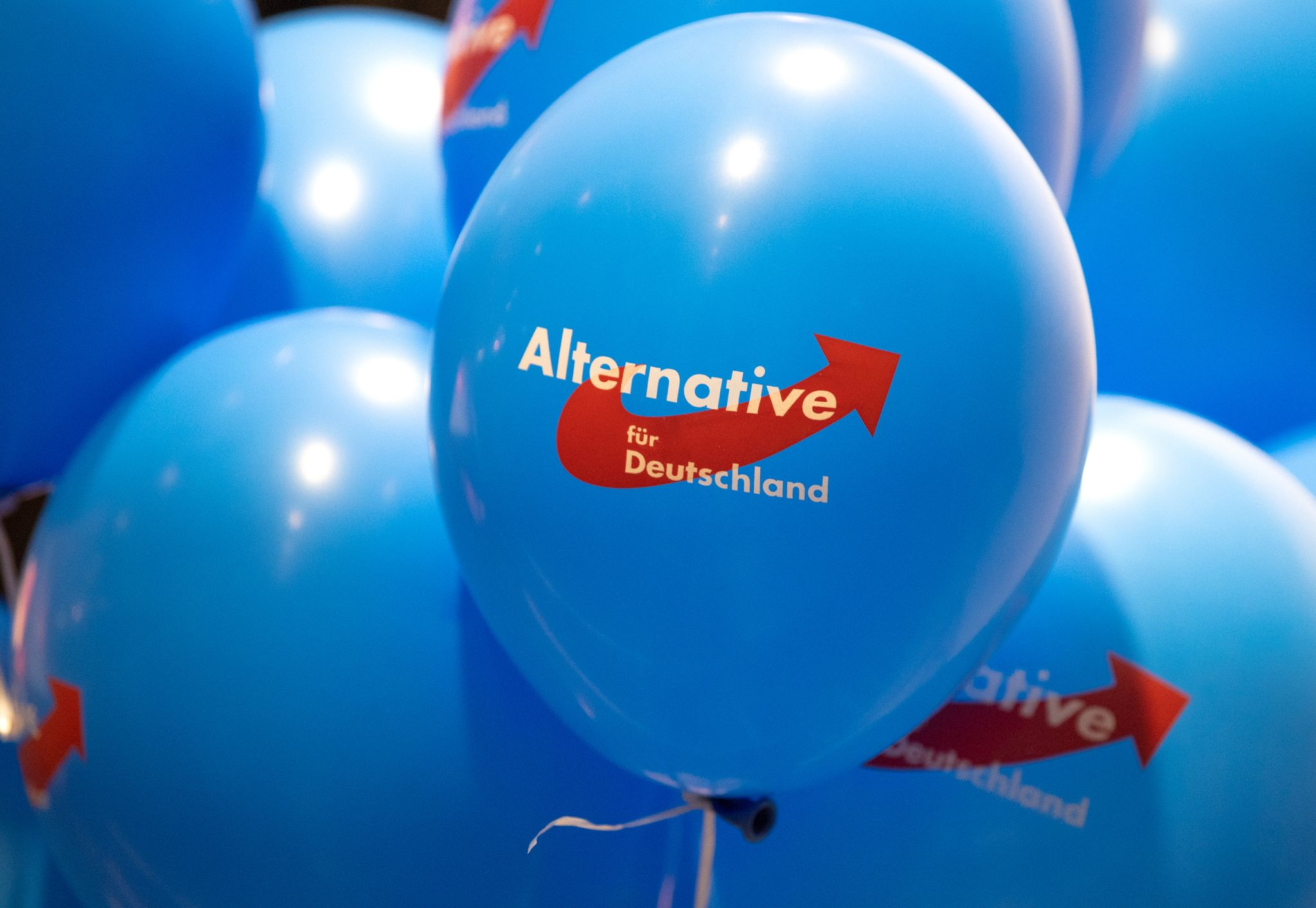 Rheinland-Pfalz rudert bei AfD-Verbot im öffentlichen Dienst zurück