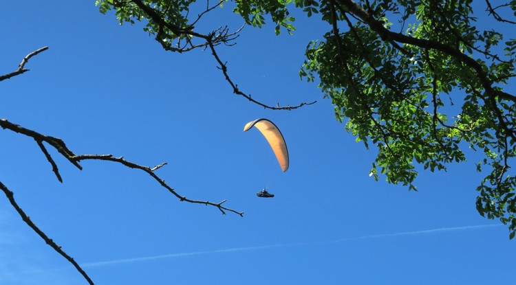 Elhunyt a siklóernyős, akit a honvédségi helikopter rotorszele sodort le egy fáról