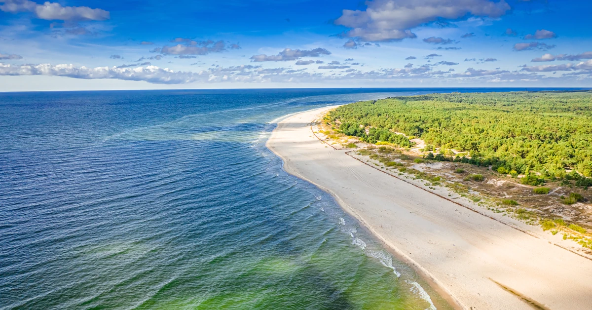 Sześć kąpielisk nad Zatoką Gdańską zamkniętych. Trująca substancja