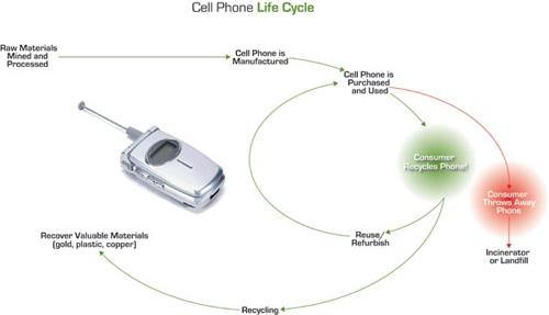 Cykl życia komórki zdaniem EPA