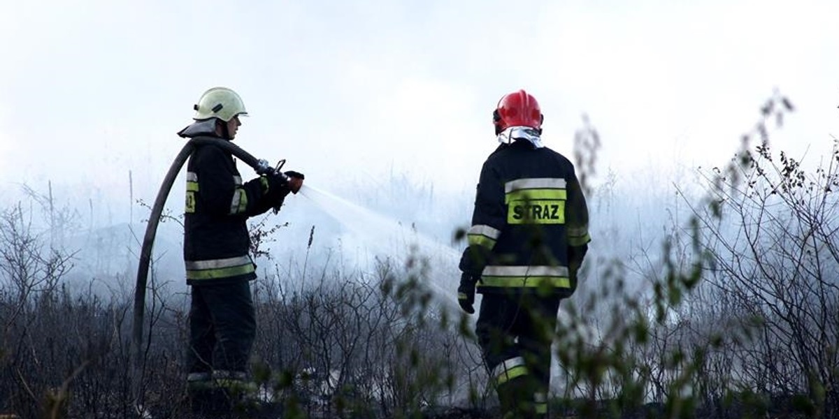 Groźny pożar lasu pod Opolem