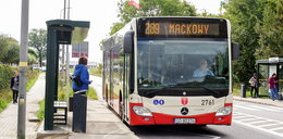Autobusy miejskie częściej na południu Gdańska! Ruszyła nowa linia 289! 