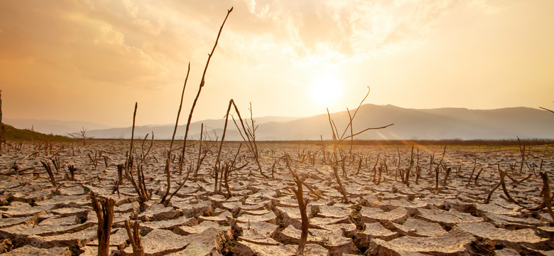 Kryzys klimatyczny wpływa na nasz mózg? Badaczka nie ma wątpliwości