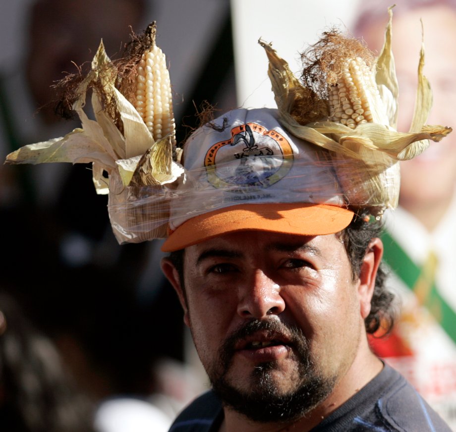 A protester takes part in a march in Mexico City, January 31, 2007.