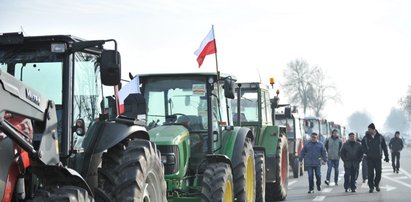 Rolnicy będą protestować w stolicy