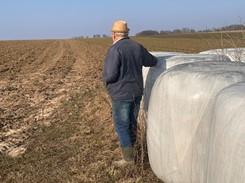 Dopłaty bezpośrednie 2025 – do kiedy i jak złożyć wniosek? Jakie stawki w 2025? Ile wynosi dopłata do hektara ziemi?