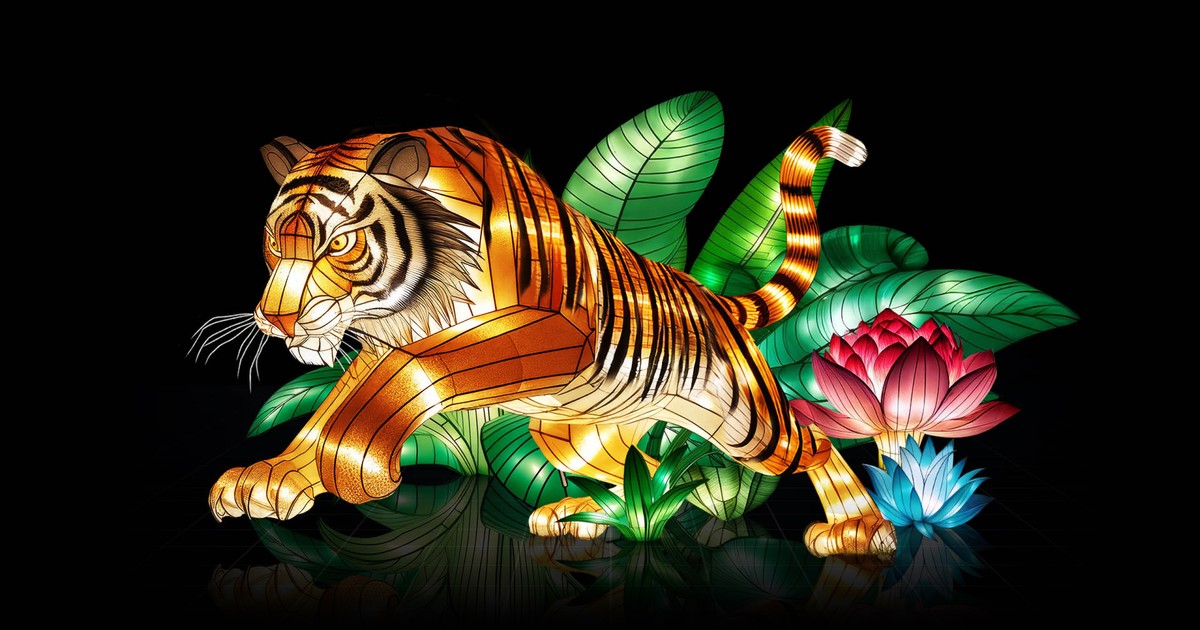 Są pieniądze dla tygrysów!