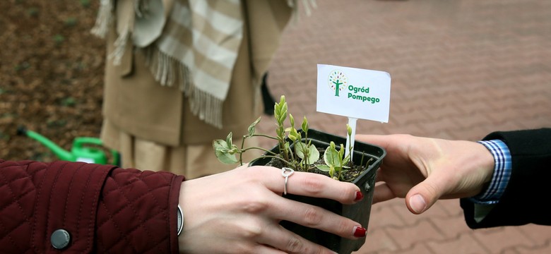 Niezwykły ogród na pamiątkę niezwykłej choroby. ZDJĘCIA