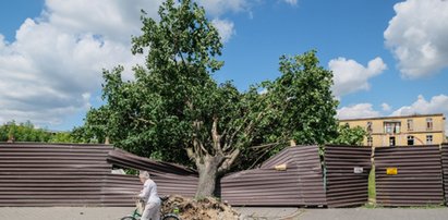 Straszne zniszczenia po burzy w Polsce. Te widoki budzą grozę!