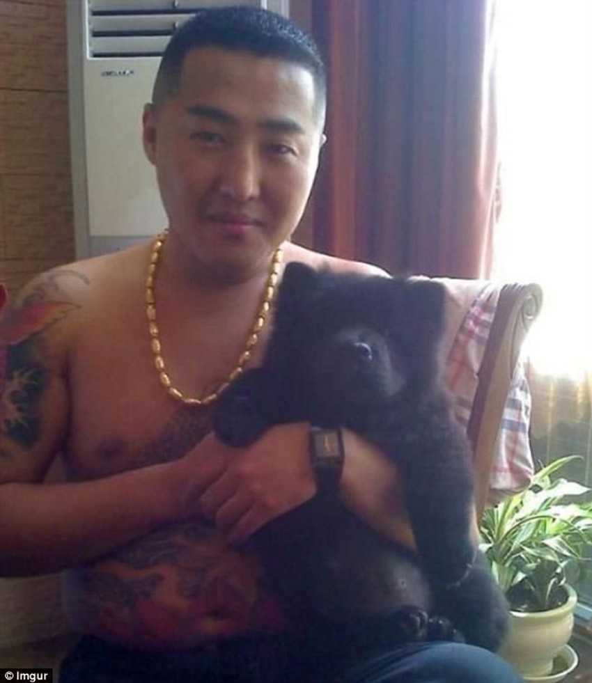 Kineski mafijaš sa kućnim ljubimcem