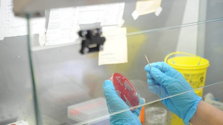 multirezisztens baktériumok, antibiotikum, rezisztencia, MRSA, fertőzés