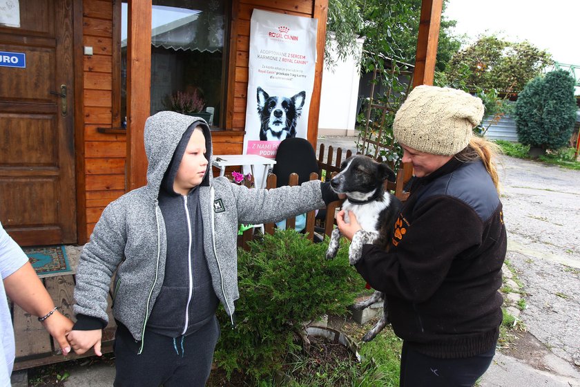 Tczew: Dziecko znalazło pieniądze. Nagrodę oddało zwierzętom