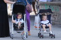 Sarah Jessica Parker na spacerze z bliźniaczkami