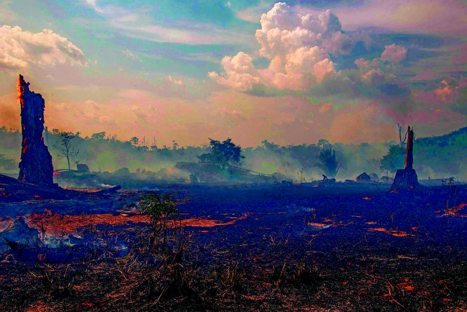 Pożary w Amazonii są zagrożeniem dla klimatu na całej planecie, tamtejsze lasy deszczowe dostarczają jedną piątą tlenu na Ziemi.Szalejące pożary są jaskrawym efektem niepohamowanego wzrostu ekonomicznego. W ostatnim roku w samej Brazylii tempo wycinki lasów wzrosło o 278 proc. (dane: Brazil’s National Institute for Space Research)