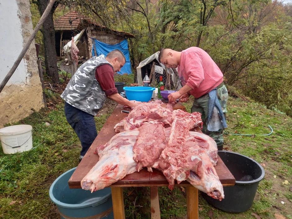 "Meso sam naseckala na sitne kockice, dinstala i pržila u svinjskoj masti, dodala alevu papriku i so"
