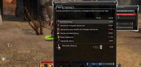 Screen z gry "Guild Wars"