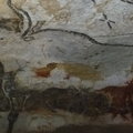 Archeolog amator rozszyfrowuje wiadomości sprzed 25 tys. lat. Nocami analizuje malowidła jaskiniowe