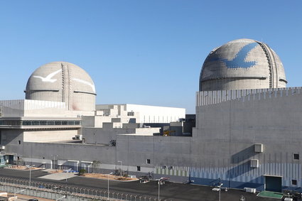 Koreańczycy: nasza oferta na budowę elektrowni jądrowej będzie tańsza od francuskiej