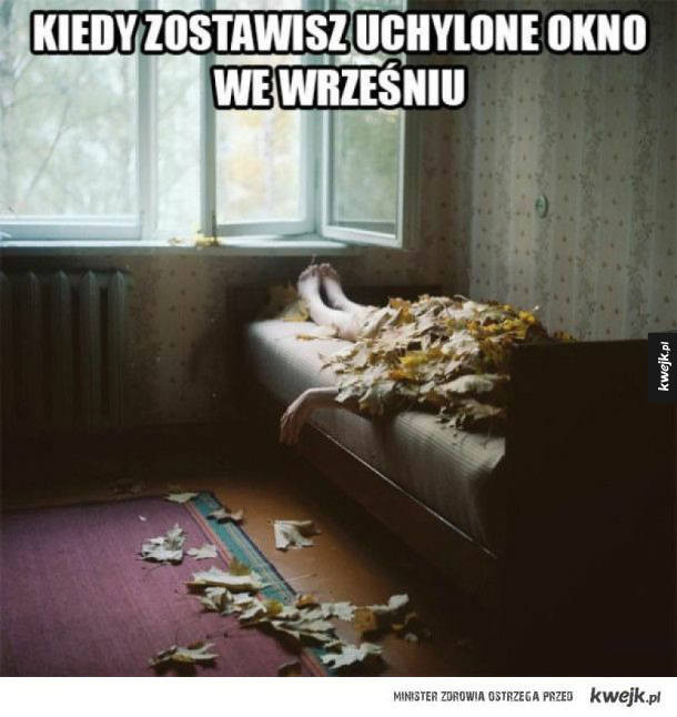 Jesień w memach. Internautów nie opuszcza poczucie humoru