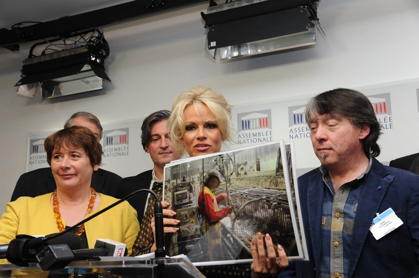 Pamela Anderson przybyła do Paryża, by poprzeć protest przeciwko produkcji foie gras