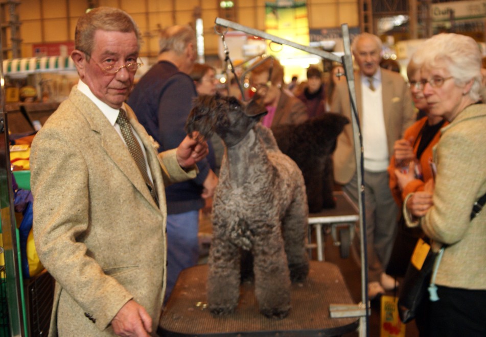 CRUFTS psy i ich właściciele