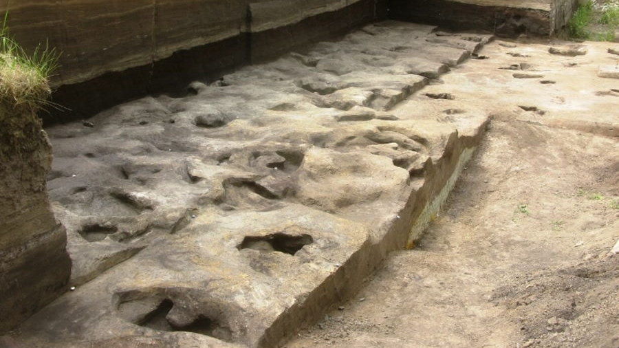 W Niemczech odkryto ślady stóp sprzed 300 tys. lat, fot. University of Tübingen