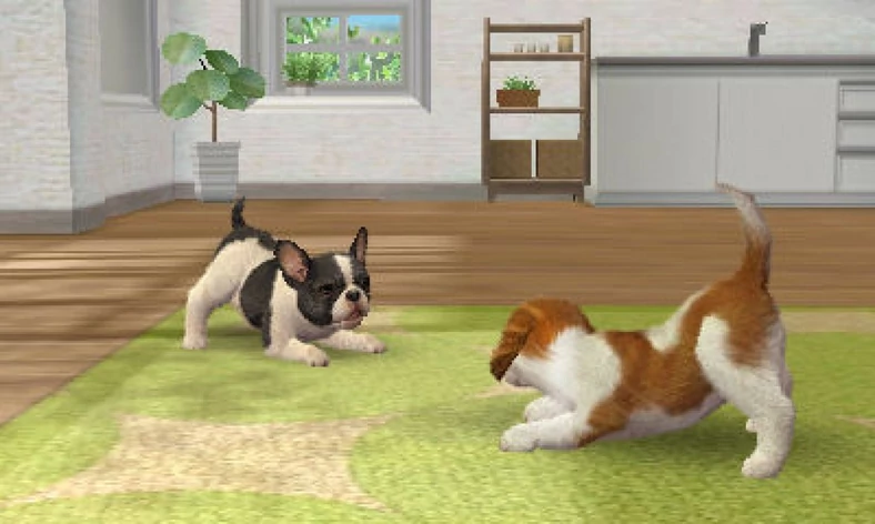 Nintendogs