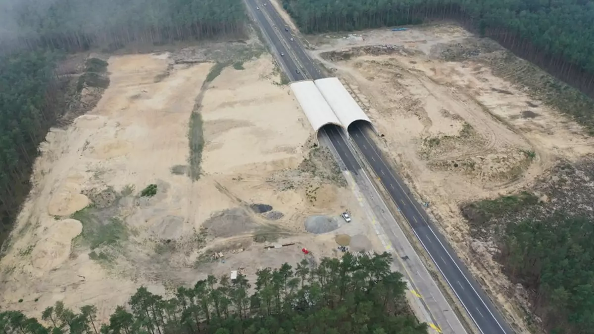 Autostrada A6 Dąbie - Rześnica