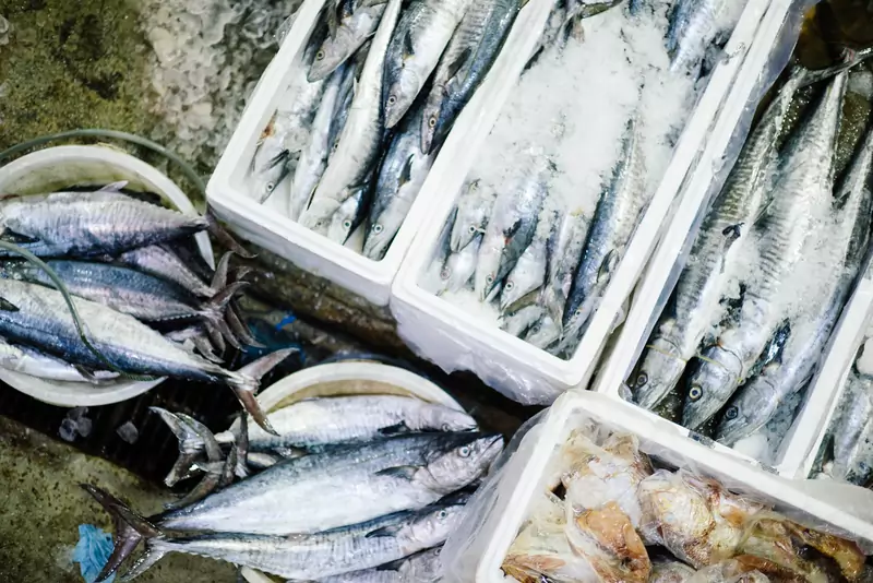 Ryby i żywność morska są mniejszym źródłem emisji gazów cieplarnianych niż zwierzęta gospodarskie