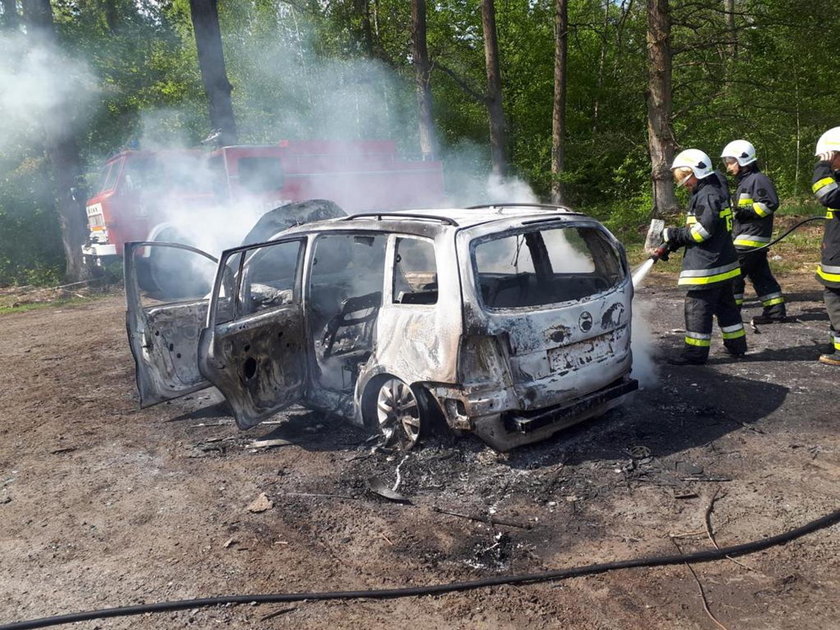 Makabryczne znalezisko w lesie w niedaleko Krzywej Góry na Opolszczyźnie