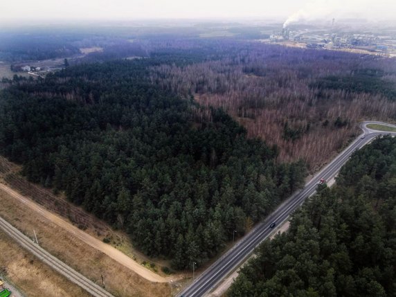 Teren, na którym ma powstać jednostka wojskowa w Grajewie, grudzień 2022