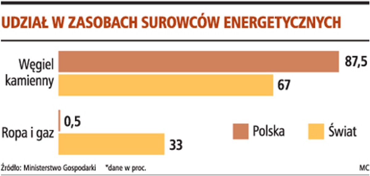 Udział w zasobach surowców energetycznych