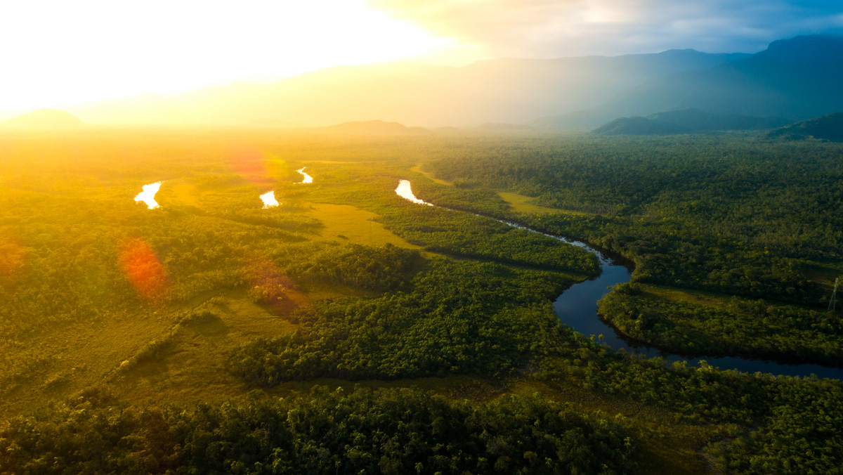 Amazonia przestaje pochłaniać dwutlenek węgla i staje się źródłem jego emisji