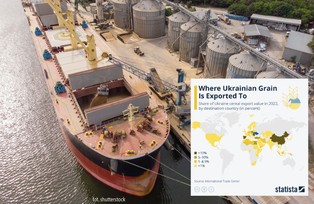 Rosja wycofała się z umowy zbożowej. Oto kraje, które kupowały najwięcej ziarna z Ukrainy [WYKRES]