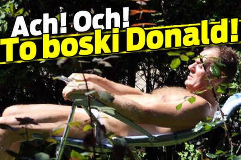 Ach, och, ech... Boski Donald!