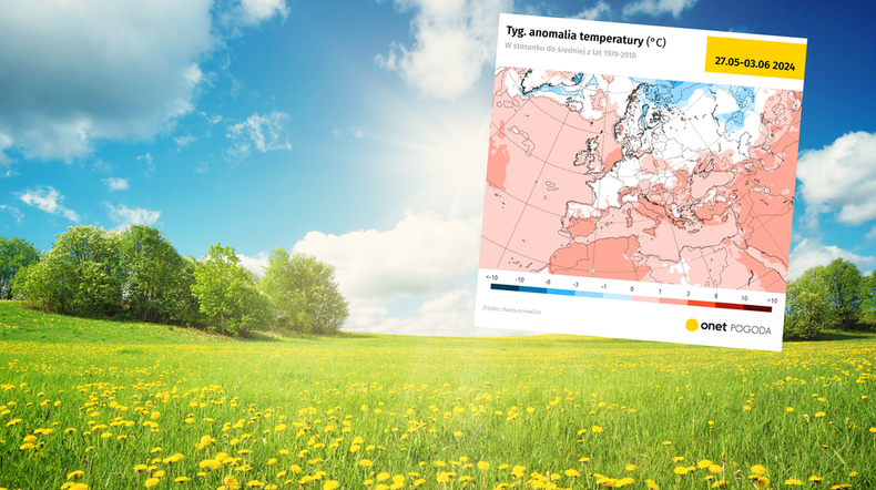 Prognozy pogody na Boże Ciało wyglądają bardzo obiecująco (screen: ECMWF)