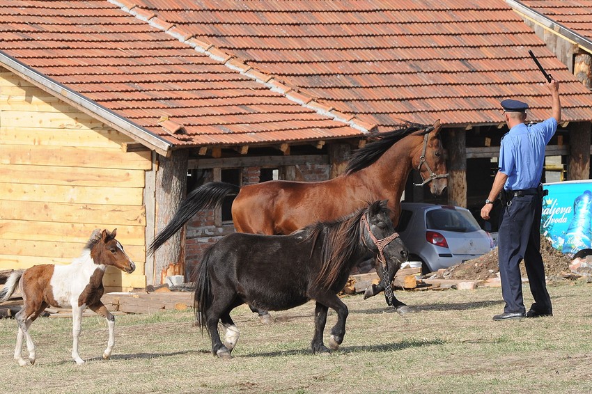 Uplašili se od pendreka