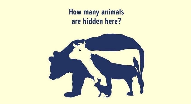 Ile zwierząt ukryło się na obrazku?