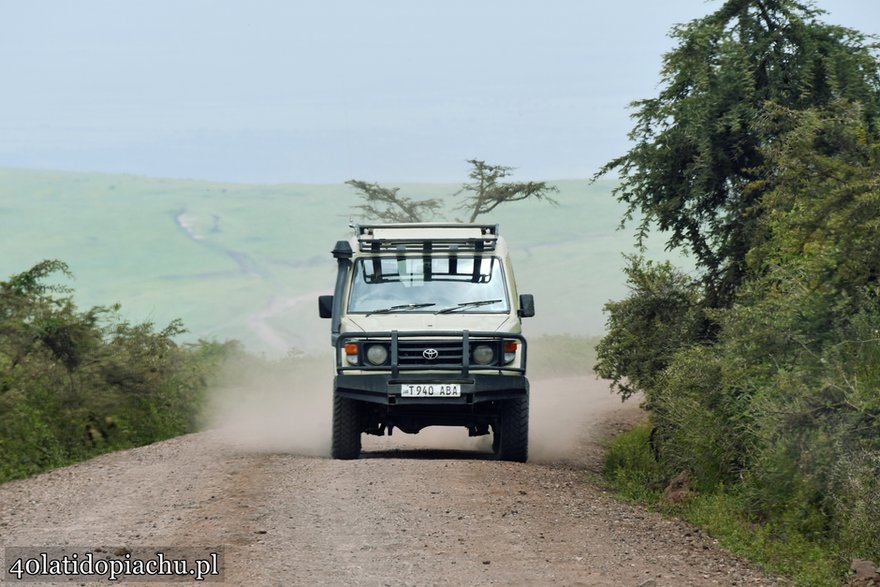 Park Narodowy Serengeti, Tanzania 2021