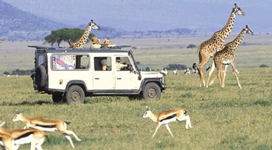 Kenya’s tourism market makes an impressive comeback