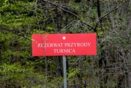 Rezerwat przyrody Turnica w Arłamowie na Pogórzu Przemyskim