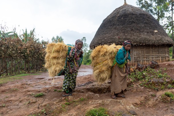 W Etiopii większość towarów - chrust, siano, bele z liśćmi czatu - noszą na plecach kobiety