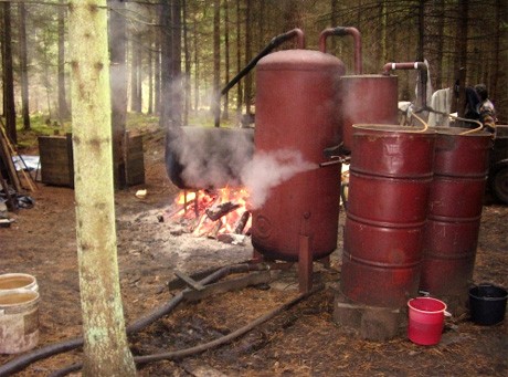 Bimbrownia do muzeum, bimbrownicy za kratki