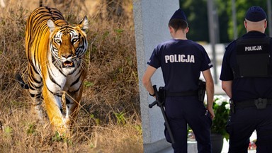 Dramat podczas "warszawskiego safari". Oddali 57 strzałów, zginął weterynarz