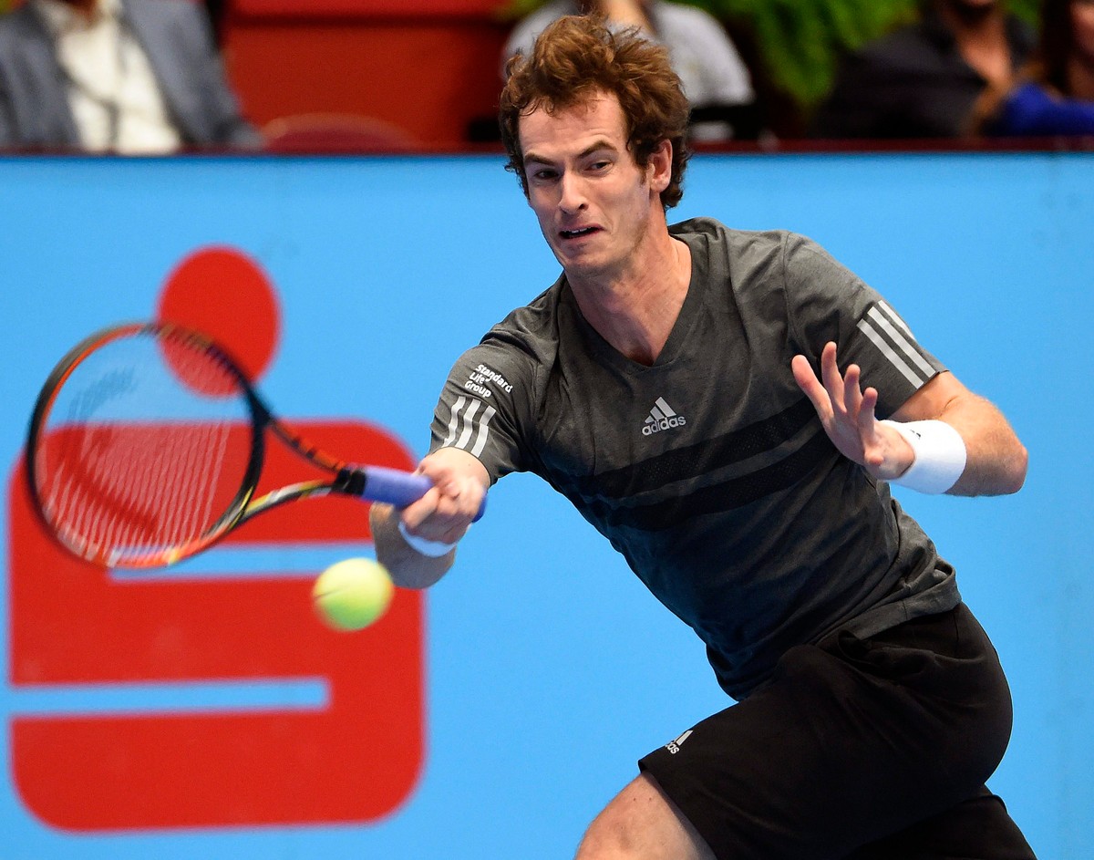Murray i Ferrer w ćwierćfinale turnieju ATP w Wiedniu