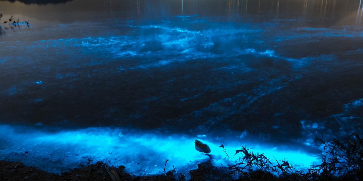 Blue waves on the Sam Mun Tsai beach of Hong Kong during an extreme algae bloom.