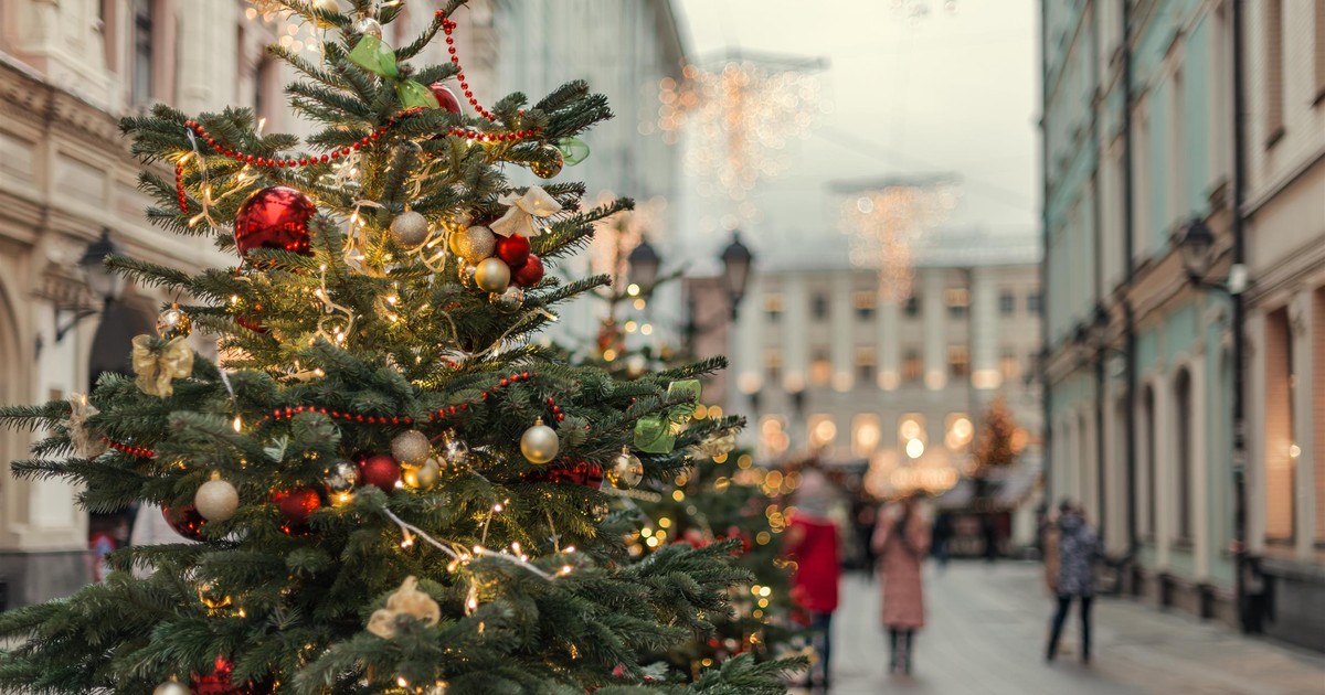 Widzisz go przy ulicy? W okresie świątecznym uchroni cię od 5 tys. zł kary!