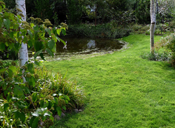 Podtopienia i susze – jak przygotować nasze miasta na nieuniknione zmiany klimatu