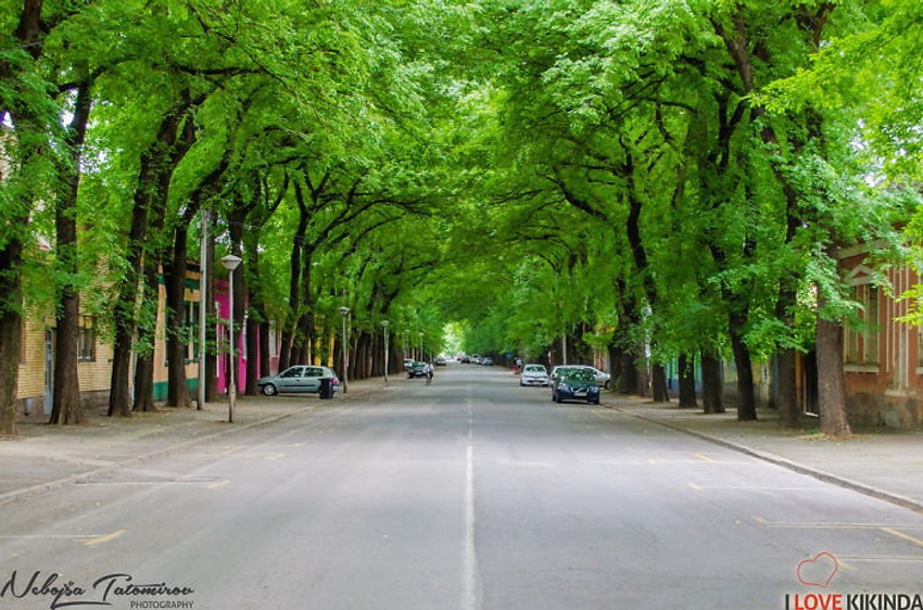 Ulica generala Drapšina u Kikindi