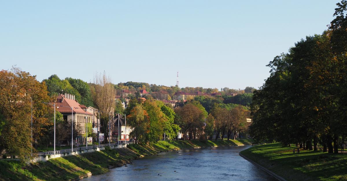  Wybory samorządowe 2024. Kto wygrał w Cieszynie? DANE PKW